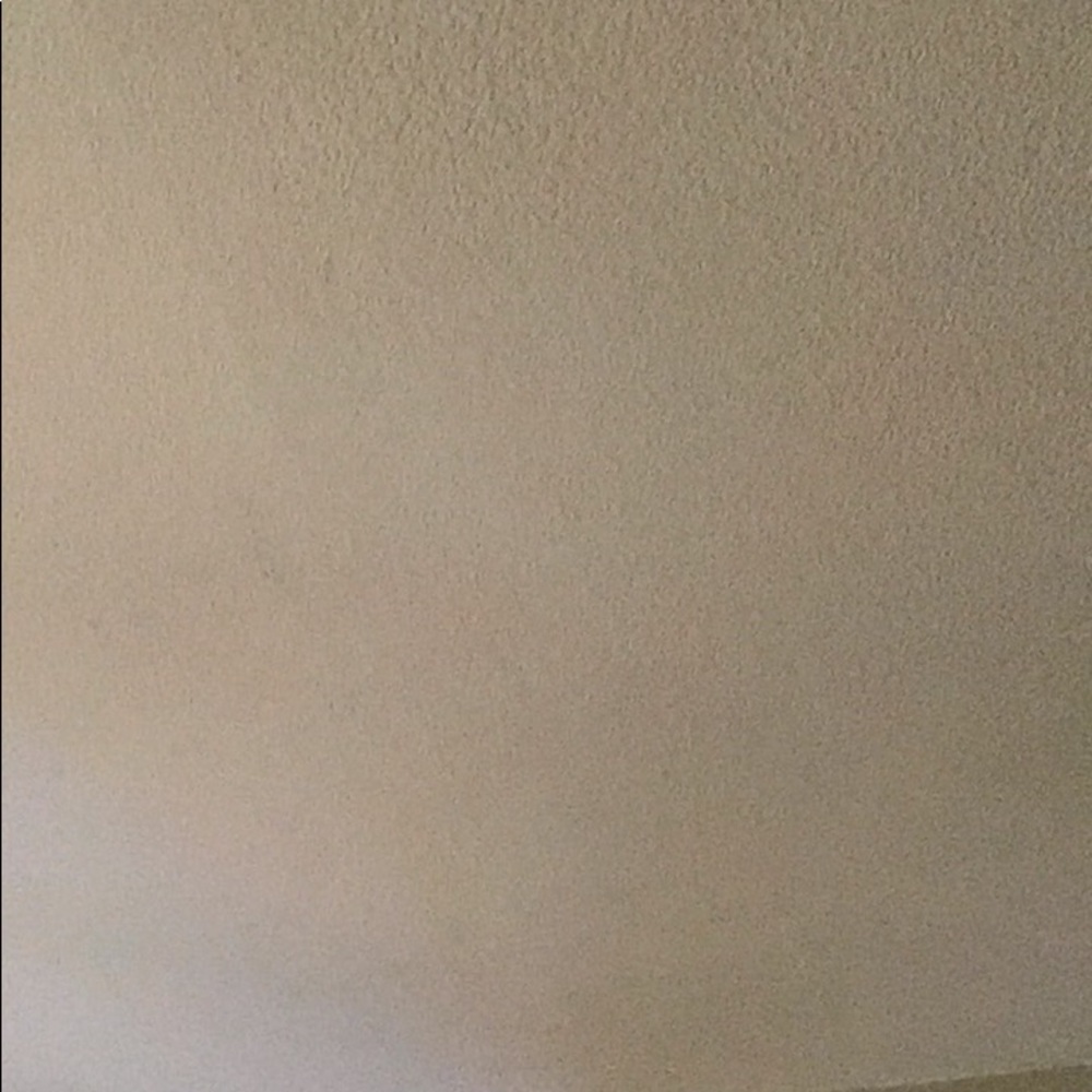 Meet your Posher, Dora